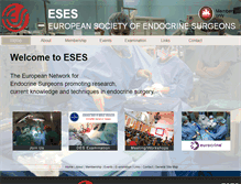 Tablet Screenshot of eses.cc